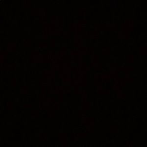 Meet your Posher, Jesse